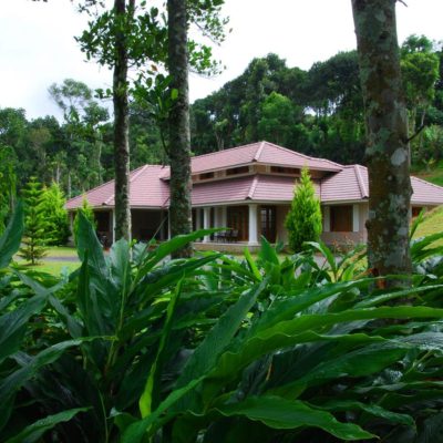 pepper county thekkady